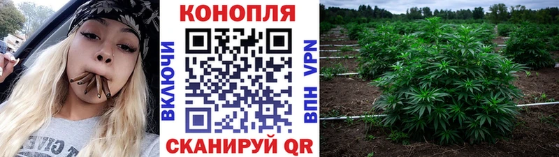 Где купить Нижняя Тура СК  NBOMe  OMG рабочий сайт  Бошки Шишки 