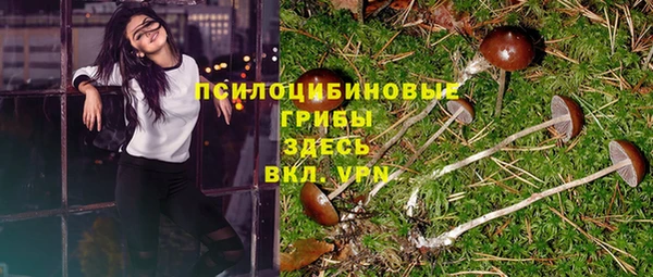 винт Баксан