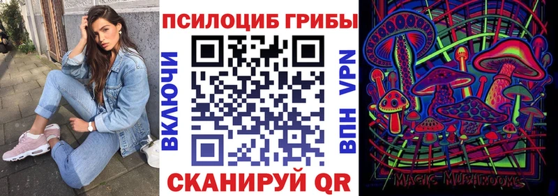 Галлюциногенные грибы Psilocybe  mega как войти  Нижняя Тура  наркошоп 