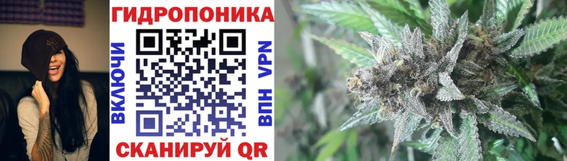 Шишки марихуана конопля  Нижняя Тура 